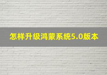 怎样升级鸿蒙系统5.0版本