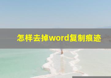 怎样去掉word复制痕迹