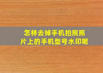 怎样去掉手机拍照照片上的手机型号水印呢