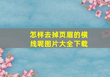 怎样去掉页眉的横线呢图片大全下载