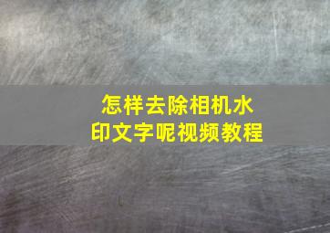 怎样去除相机水印文字呢视频教程