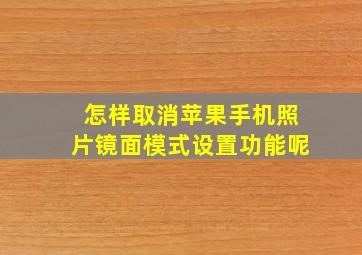 怎样取消苹果手机照片镜面模式设置功能呢