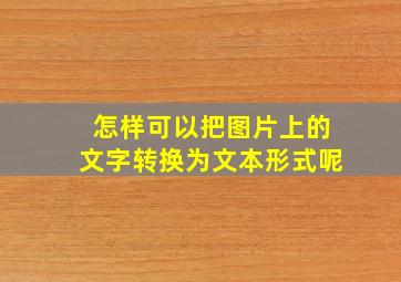 怎样可以把图片上的文字转换为文本形式呢