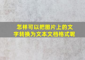 怎样可以把图片上的文字转换为文本文档格式呢