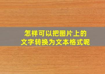 怎样可以把图片上的文字转换为文本格式呢