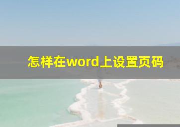 怎样在word上设置页码