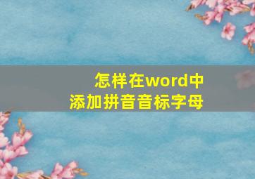 怎样在word中添加拼音音标字母