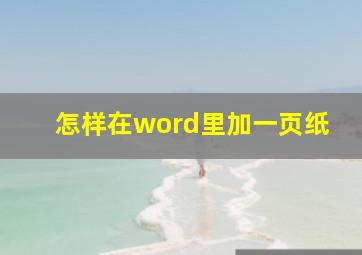 怎样在word里加一页纸