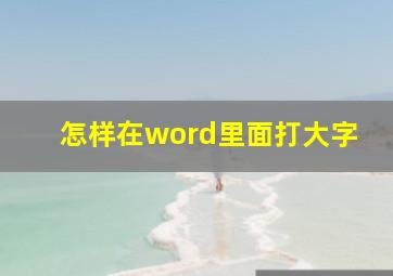 怎样在word里面打大字