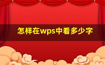 怎样在wps中看多少字