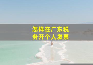 怎样在广东税务开个人发票