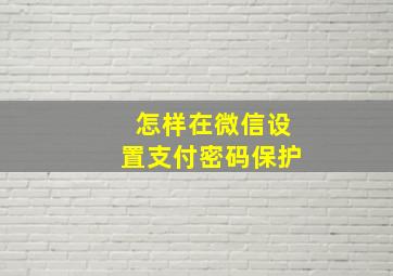 怎样在微信设置支付密码保护