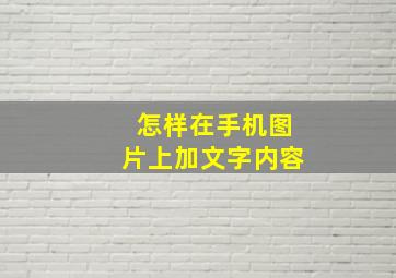 怎样在手机图片上加文字内容