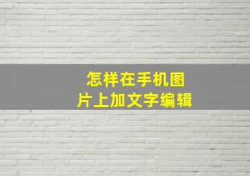 怎样在手机图片上加文字编辑