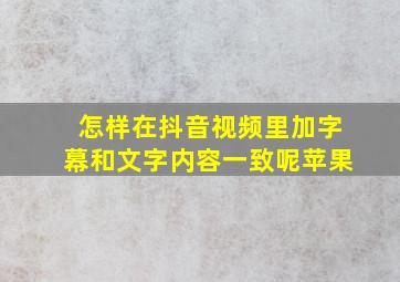 怎样在抖音视频里加字幕和文字内容一致呢苹果