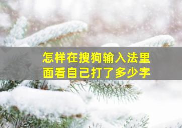 怎样在搜狗输入法里面看自己打了多少字