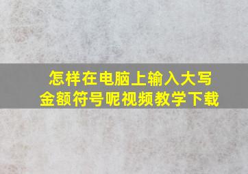 怎样在电脑上输入大写金额符号呢视频教学下载