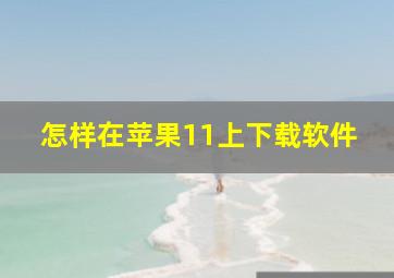 怎样在苹果11上下载软件