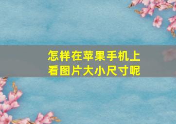 怎样在苹果手机上看图片大小尺寸呢