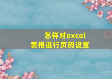 怎样对excel表格进行页码设置