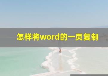 怎样将word的一页复制