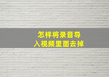 怎样将录音导入视频里面去掉