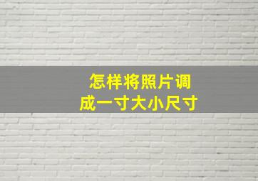 怎样将照片调成一寸大小尺寸