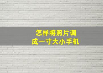 怎样将照片调成一寸大小手机