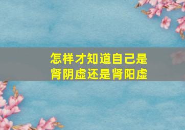 怎样才知道自己是肾阴虚还是肾阳虚