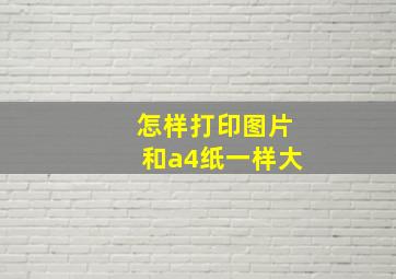 怎样打印图片和a4纸一样大