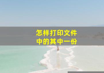 怎样打印文件中的其中一份