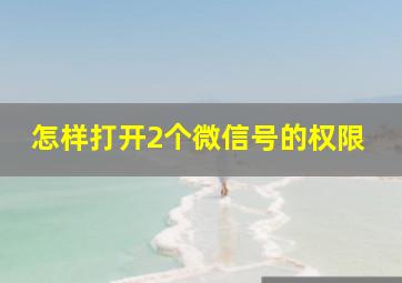 怎样打开2个微信号的权限