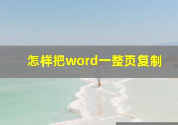 怎样把word一整页复制