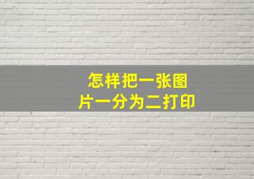 怎样把一张图片一分为二打印