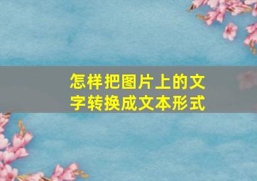 怎样把图片上的文字转换成文本形式