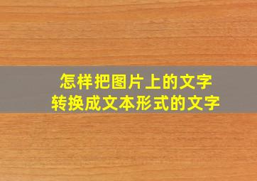 怎样把图片上的文字转换成文本形式的文字