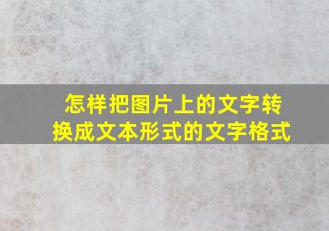 怎样把图片上的文字转换成文本形式的文字格式