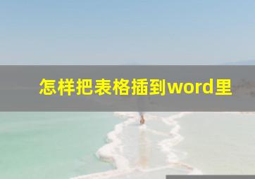 怎样把表格插到word里