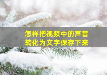 怎样把视频中的声音转化为文字保存下来