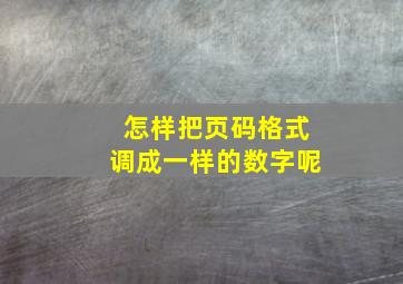 怎样把页码格式调成一样的数字呢