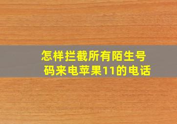 怎样拦截所有陌生号码来电苹果11的电话