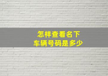 怎样查看名下车辆号码是多少