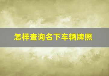 怎样查询名下车辆牌照