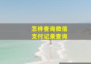 怎样查询微信支付记录查询