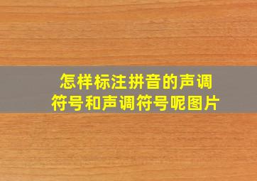 怎样标注拼音的声调符号和声调符号呢图片