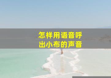 怎样用语音呼出小布的声音