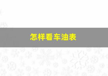 怎样看车油表