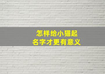 怎样给小猫起名字才更有意义