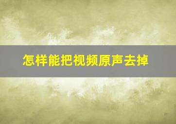 怎样能把视频原声去掉