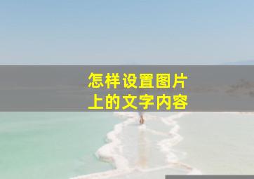 怎样设置图片上的文字内容